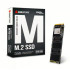 Biostar M700 Series 256GB SSD